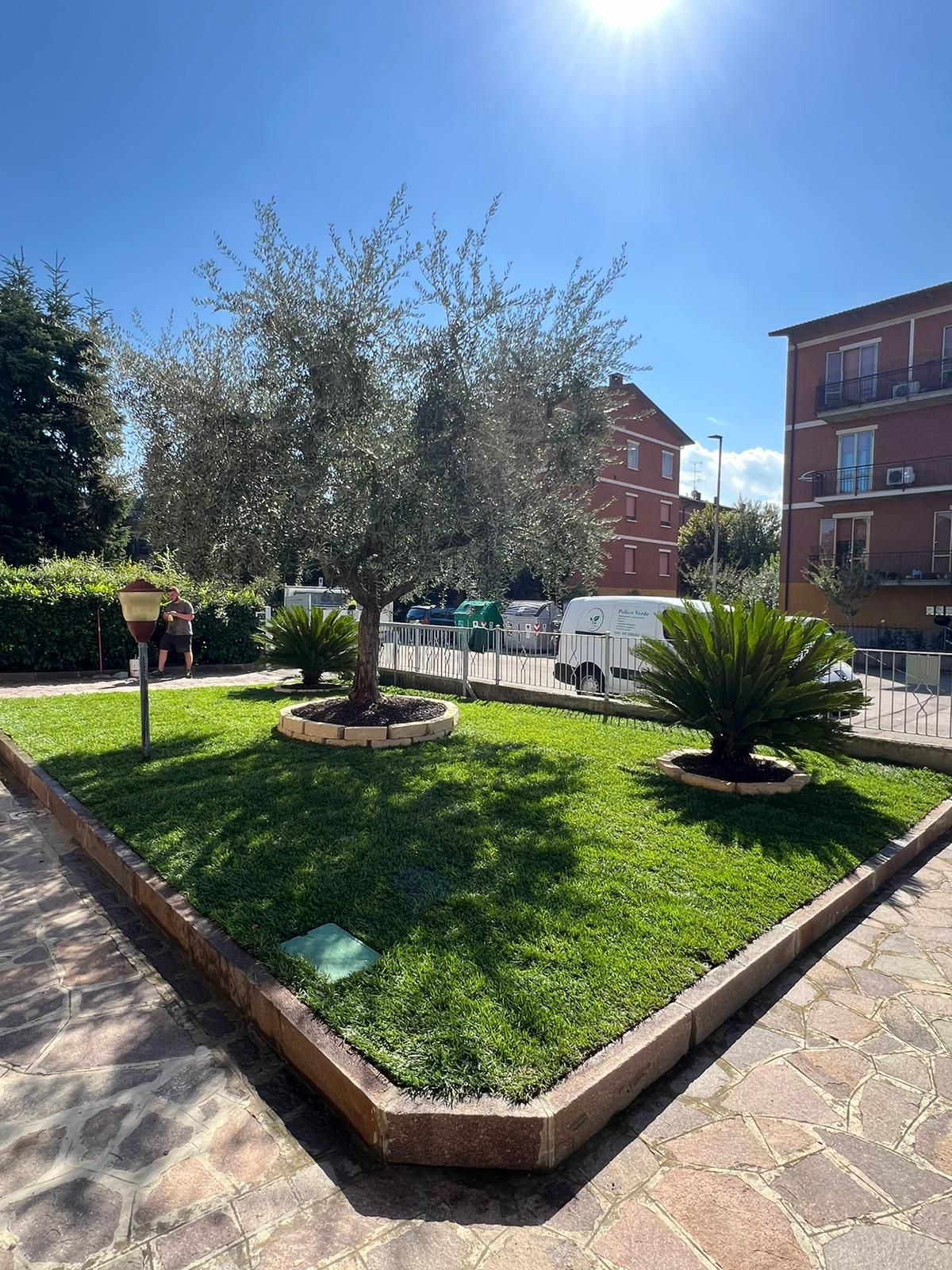 progettazione e realizzazione aree verdi