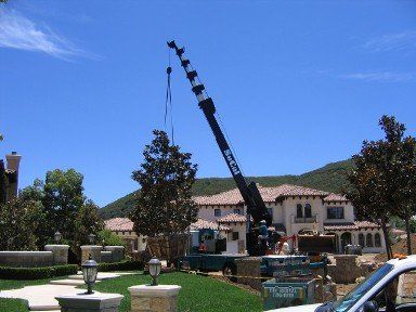 Trees - Crane Service in Thousand Oaks, CA