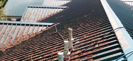 Roof leaf buildup - - Roofing Specialists in Tacoma, Washington