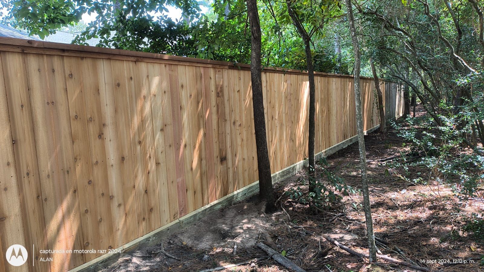 A wooden fence is surrounded by trees in a backyard.
