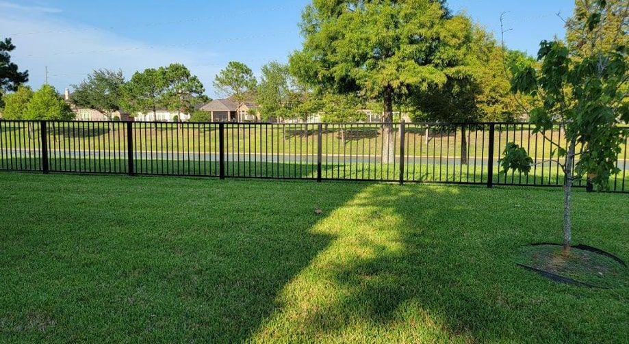 A fence surrounds a lush green field with trees in the background.