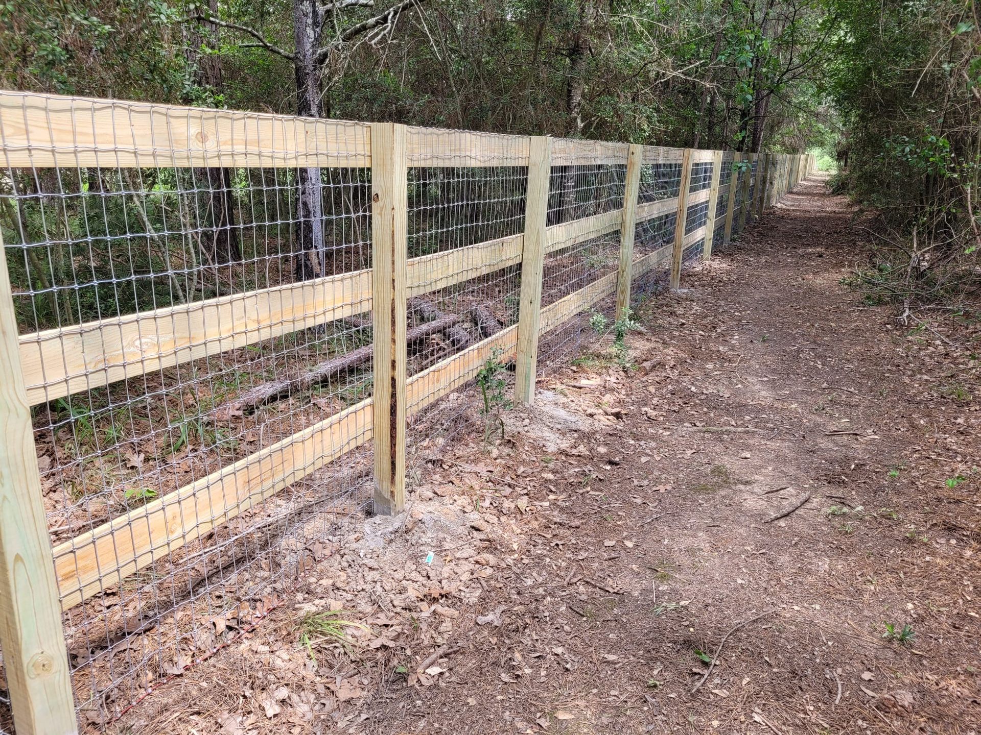A wooden fence surrounds a dirt path in the woods.