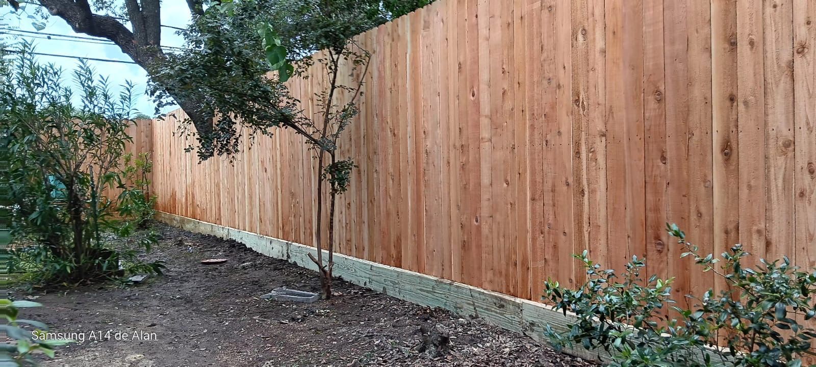 A wooden fence is surrounded by trees and bushes in a backyard.