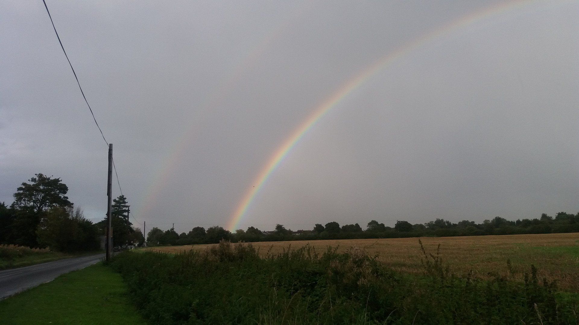 Rainbow High Roding Essex