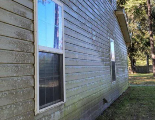 Side of a house with light green siding and two windows, showing algae growth.