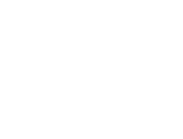 Blank white screen with a black bar along the bottom edge.