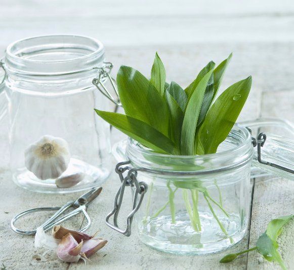 Garlic and herbs in glass mason jars used for enema therapy by Hertfordshire Colonics