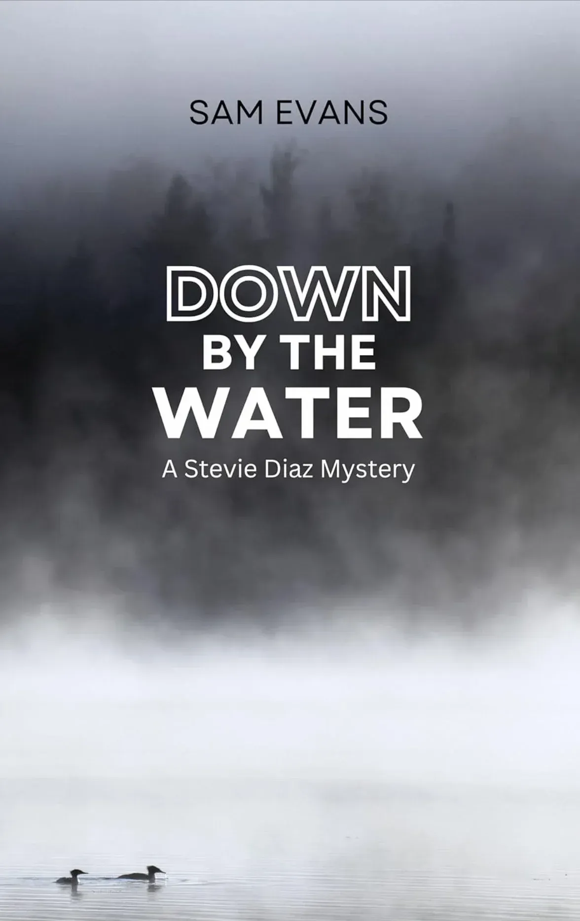 Book cover: Foggy water scene with title 