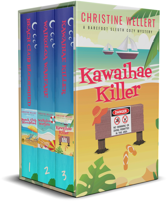 Book cover: Waikoloa Warfare, beach ball on sand, palm leaves, pink title.