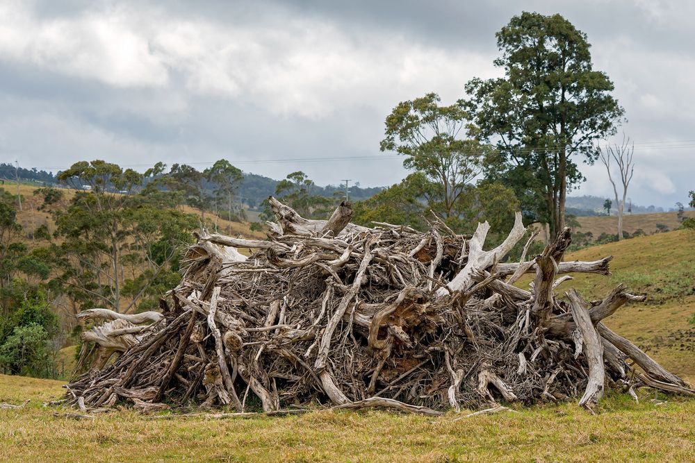 A Pile Of Logs In A Field With Trees In The Background — Allsites Earthworx In Garbutt, QLD