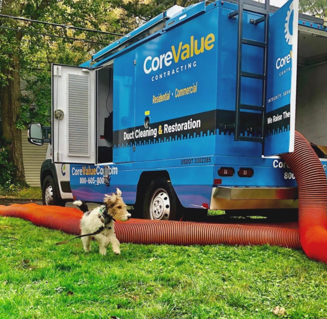 Blue Core Value Contracting truck with a dog running on grass, near a red hose.
