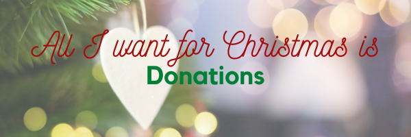 Holiday Marketing | Business Marketing | Donations | Giving | Red and Green