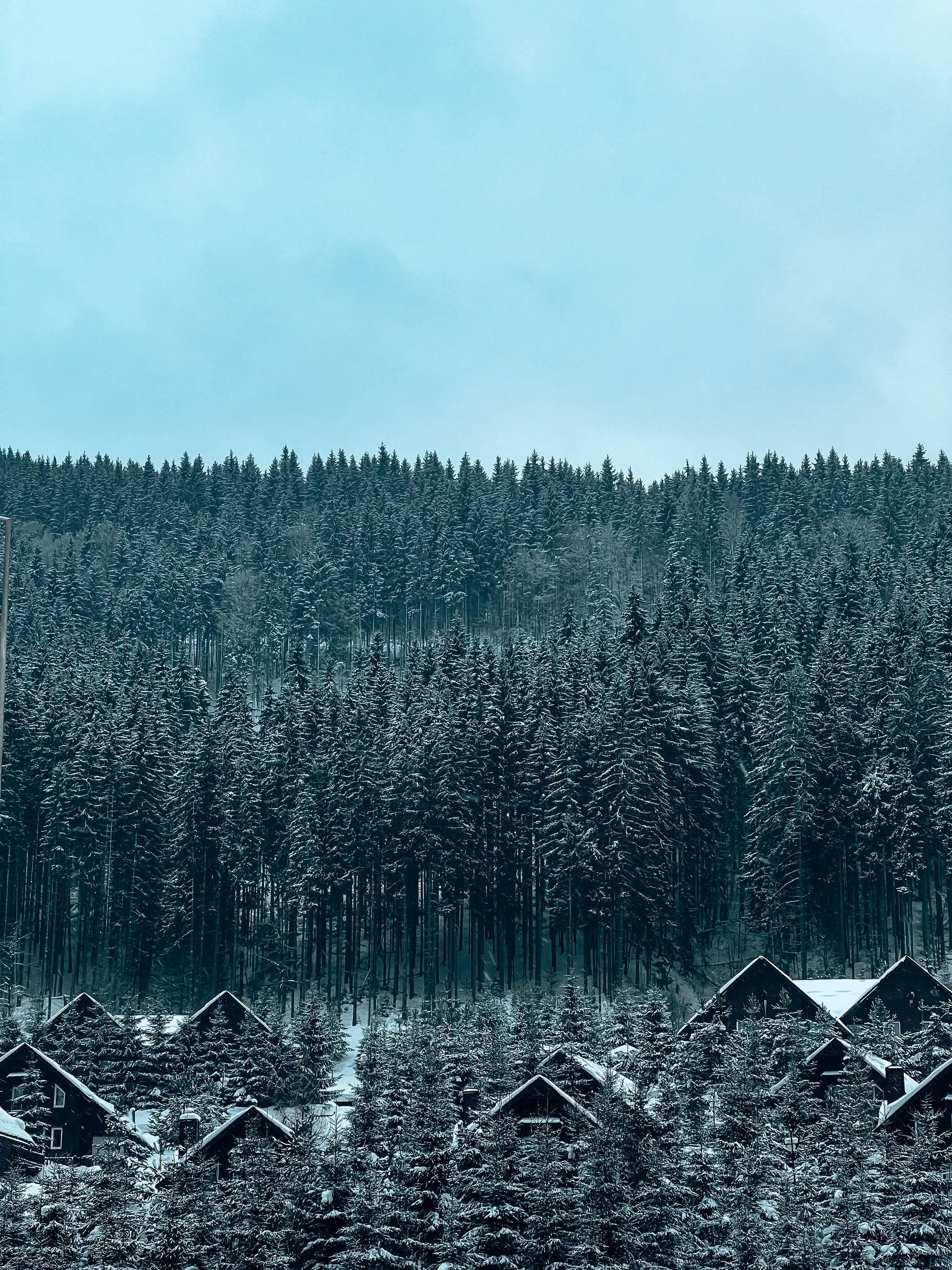 A snowy, forested landscape featuring rows of small, dark cabins tucked into a hillside under a pale, wintry sky.