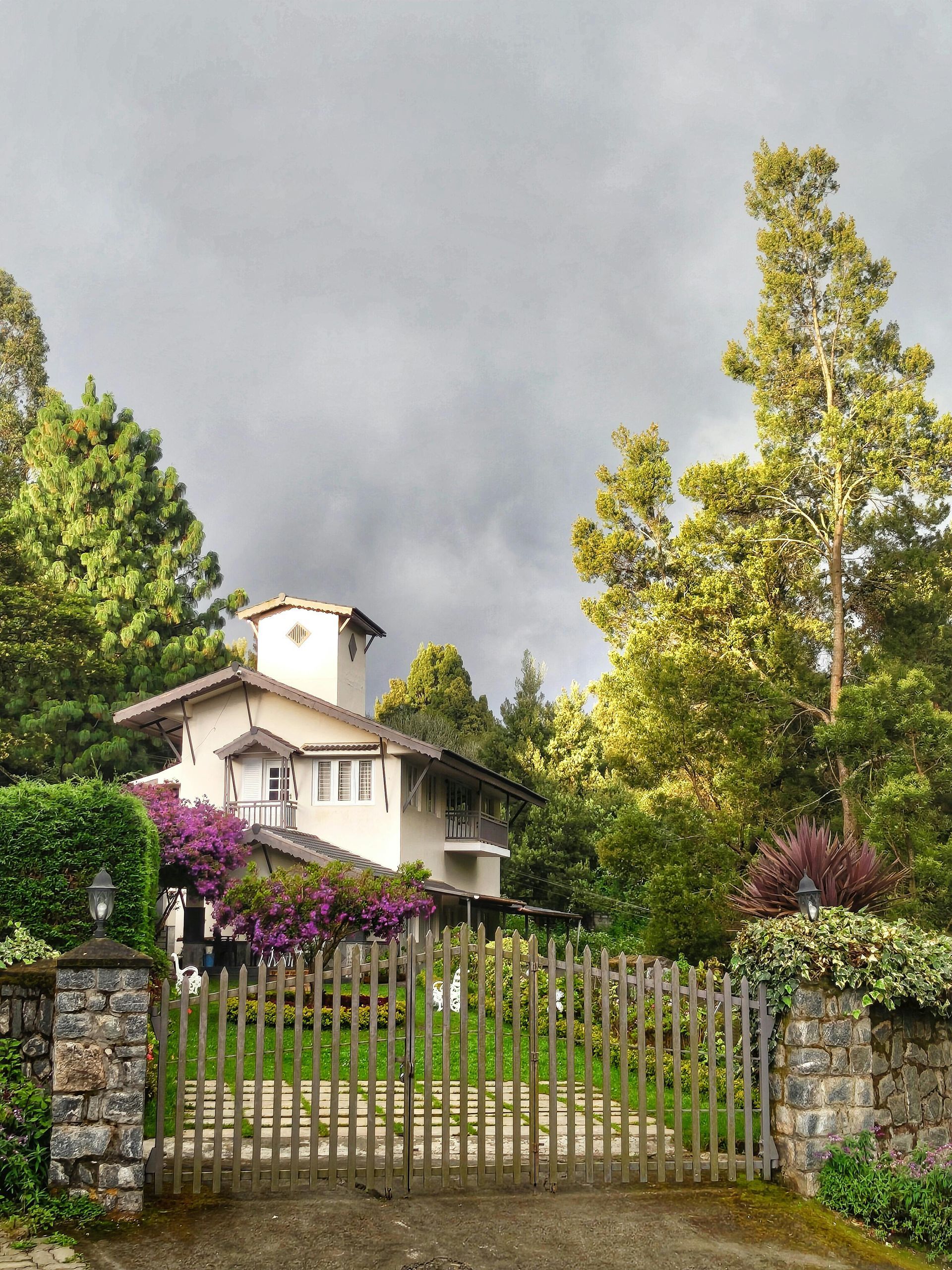 The pros and cons of having a tree near your house 