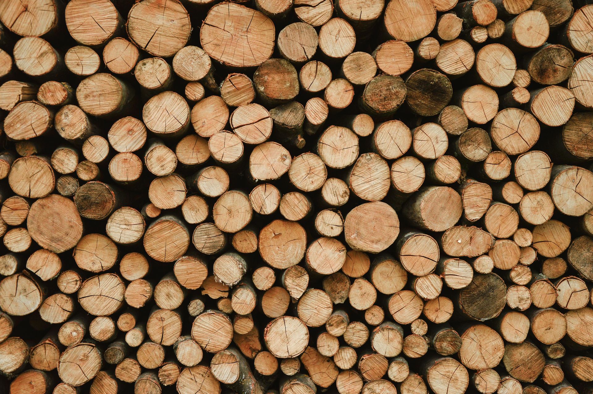 A pile of wood logs