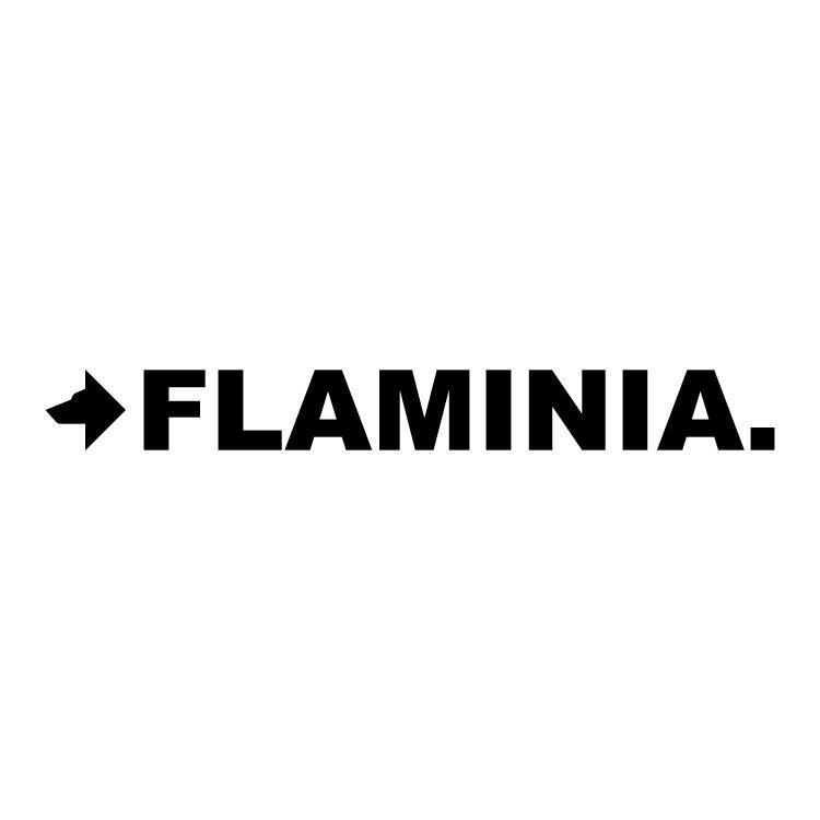 Il logo flaminia è in bianco e nero su sfondo bianco.
