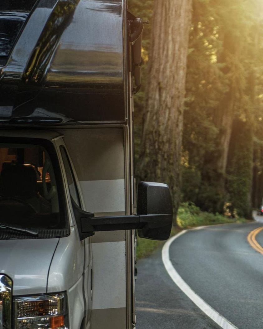 Silver truck on a forest road with trees and sunlight along a curving lane