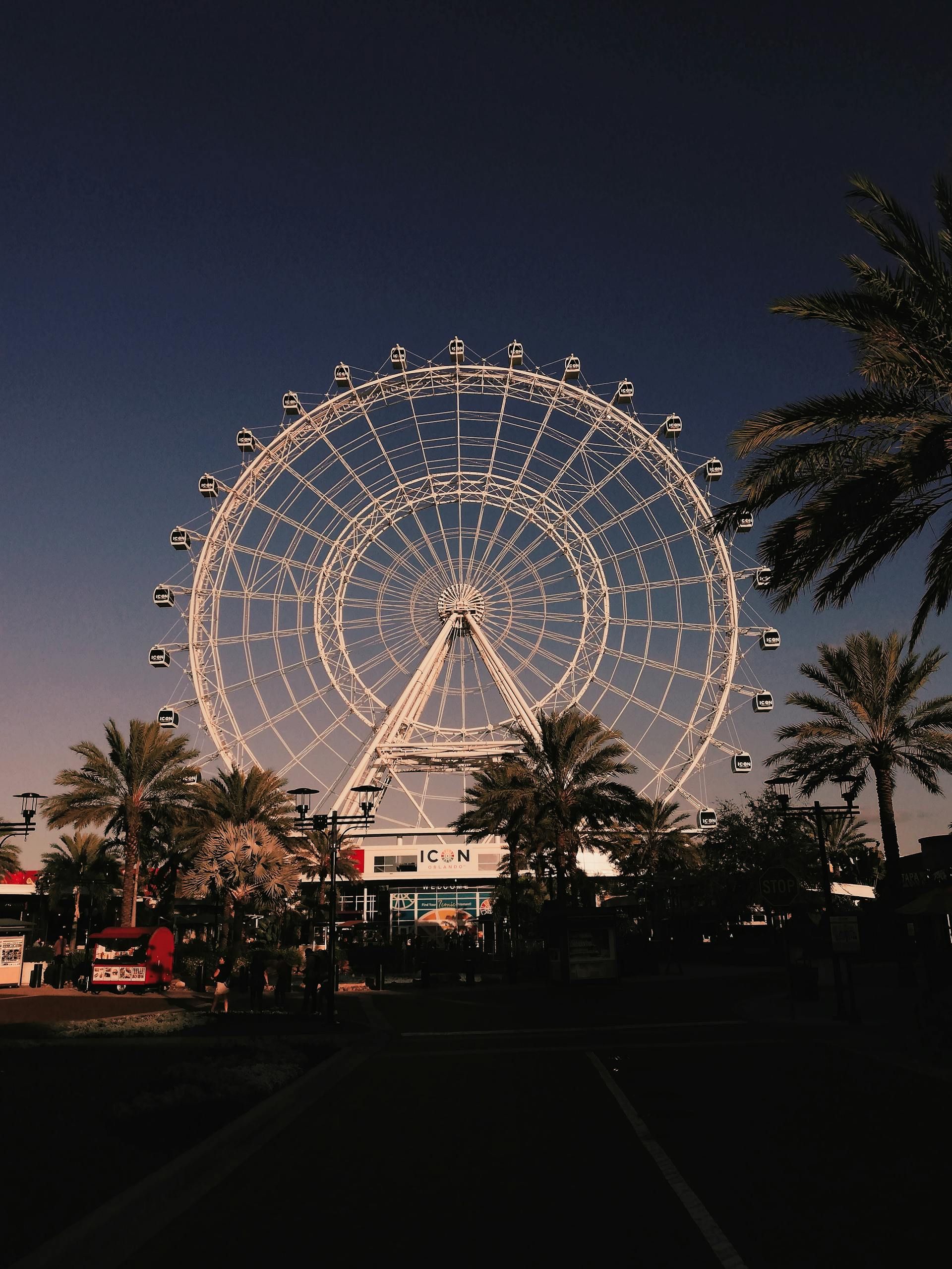 Ferris wheel lit up at dusk above a palm-lined street and building silhouette