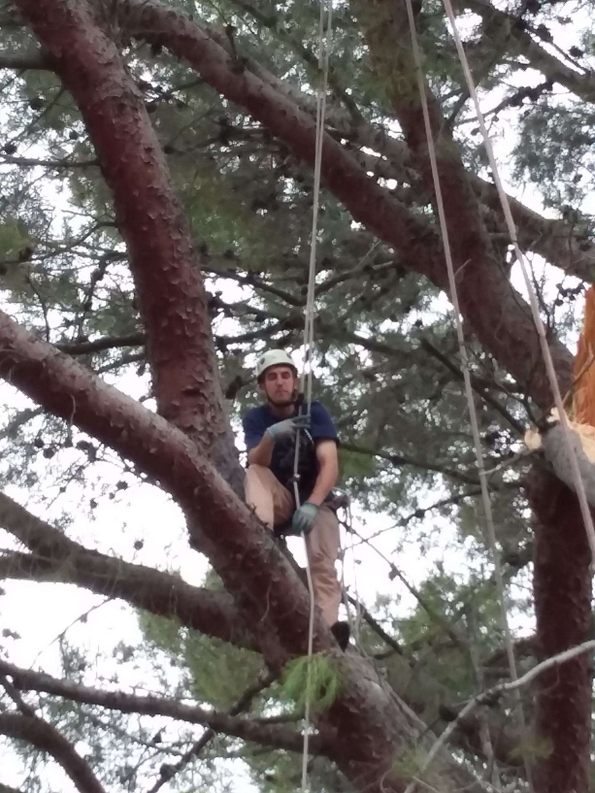 A man is sitting on a tree branch wearing a helmet