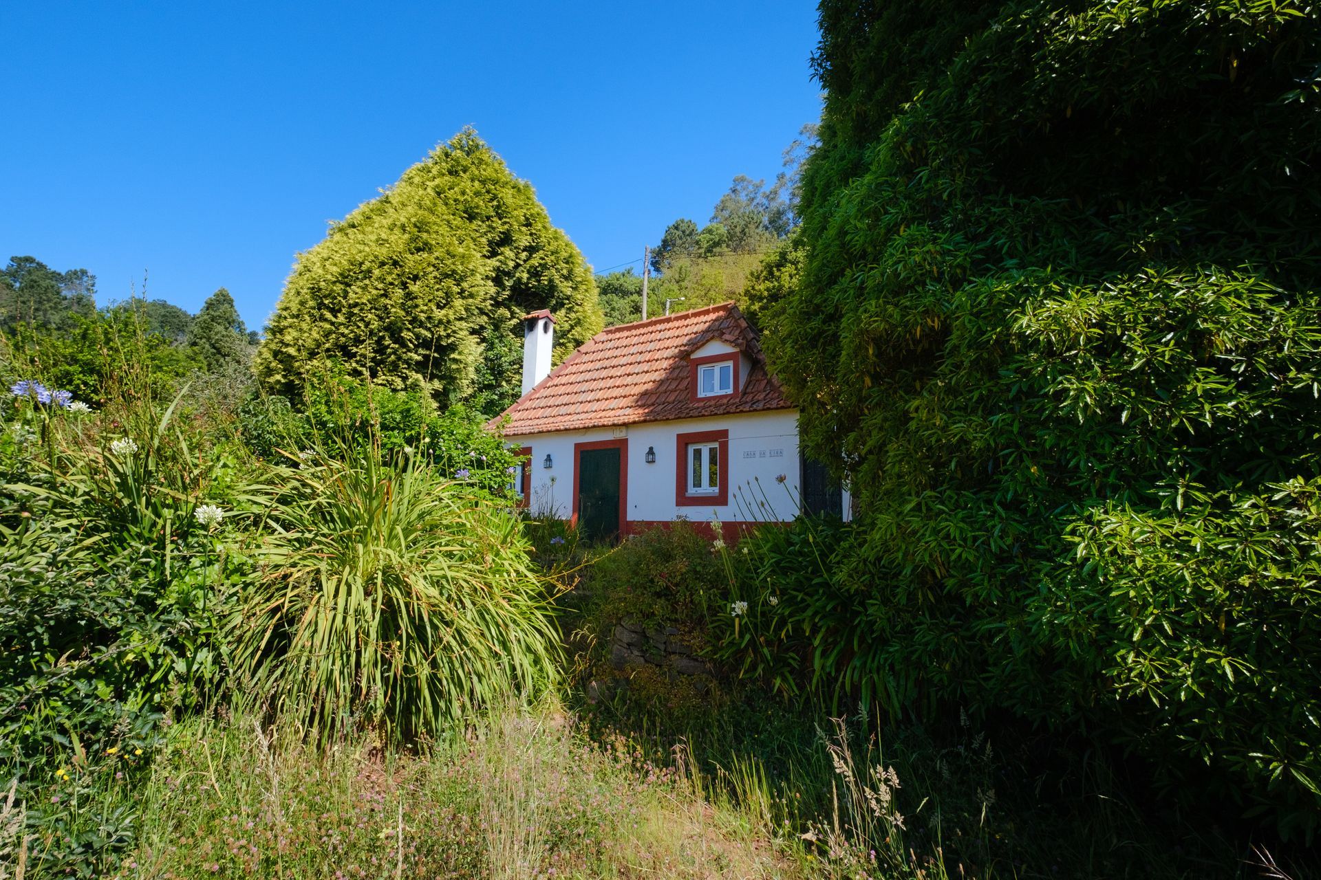 Small cottage nestled amongst lush greenery on a sunny day.