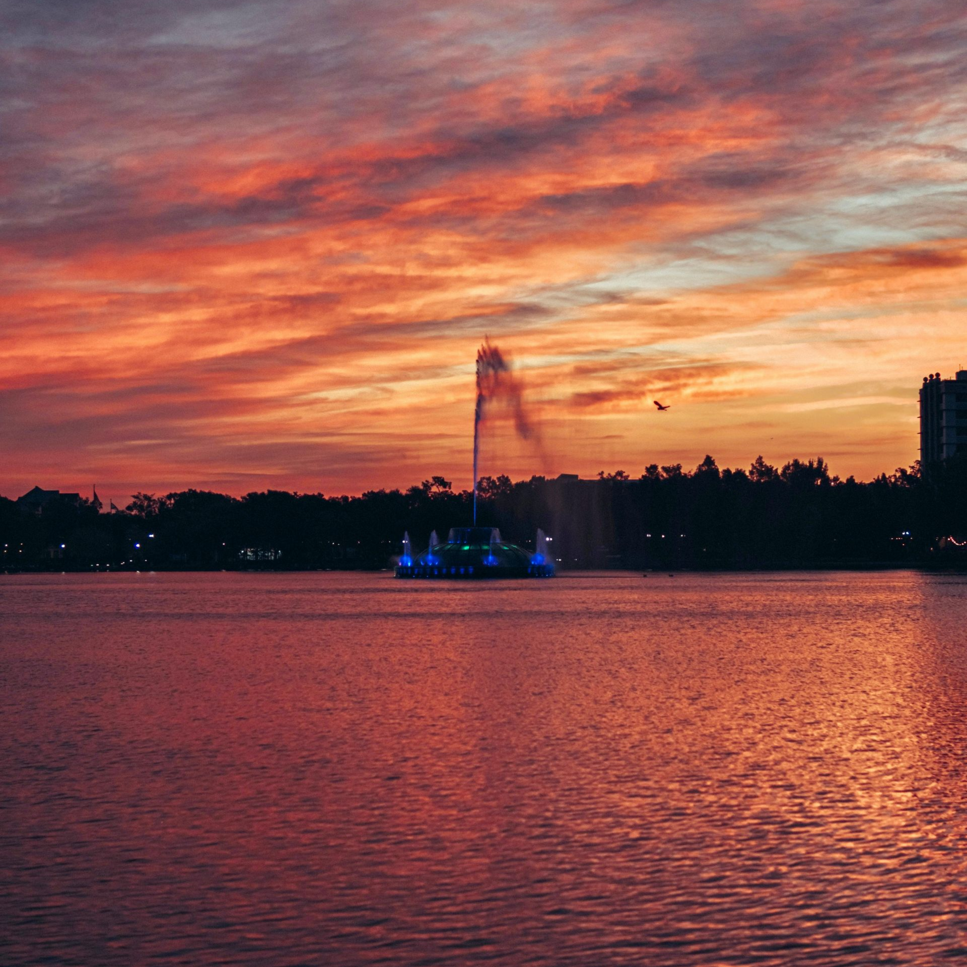 NDPP-Orlando, FL