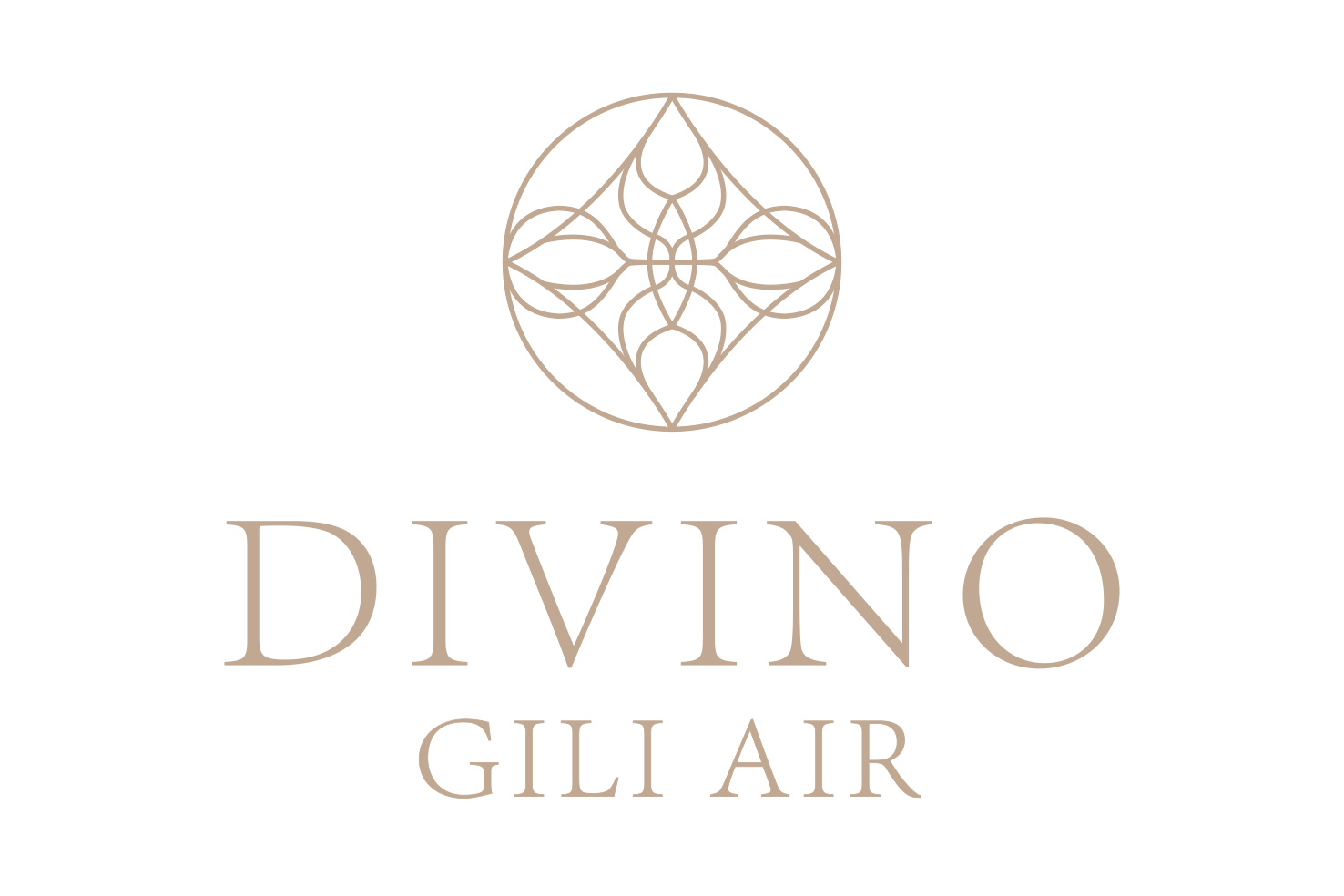 A logo for divino gili air with a circular design