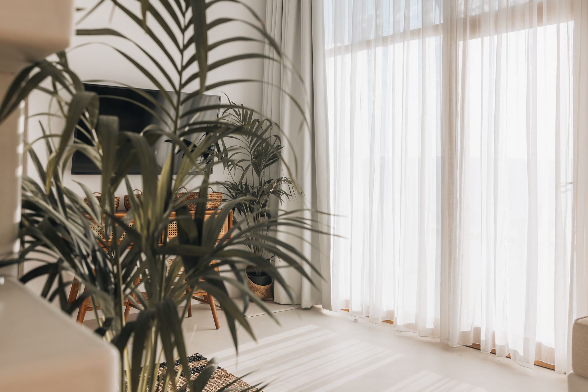 There is a palm tree in the middle of the room.