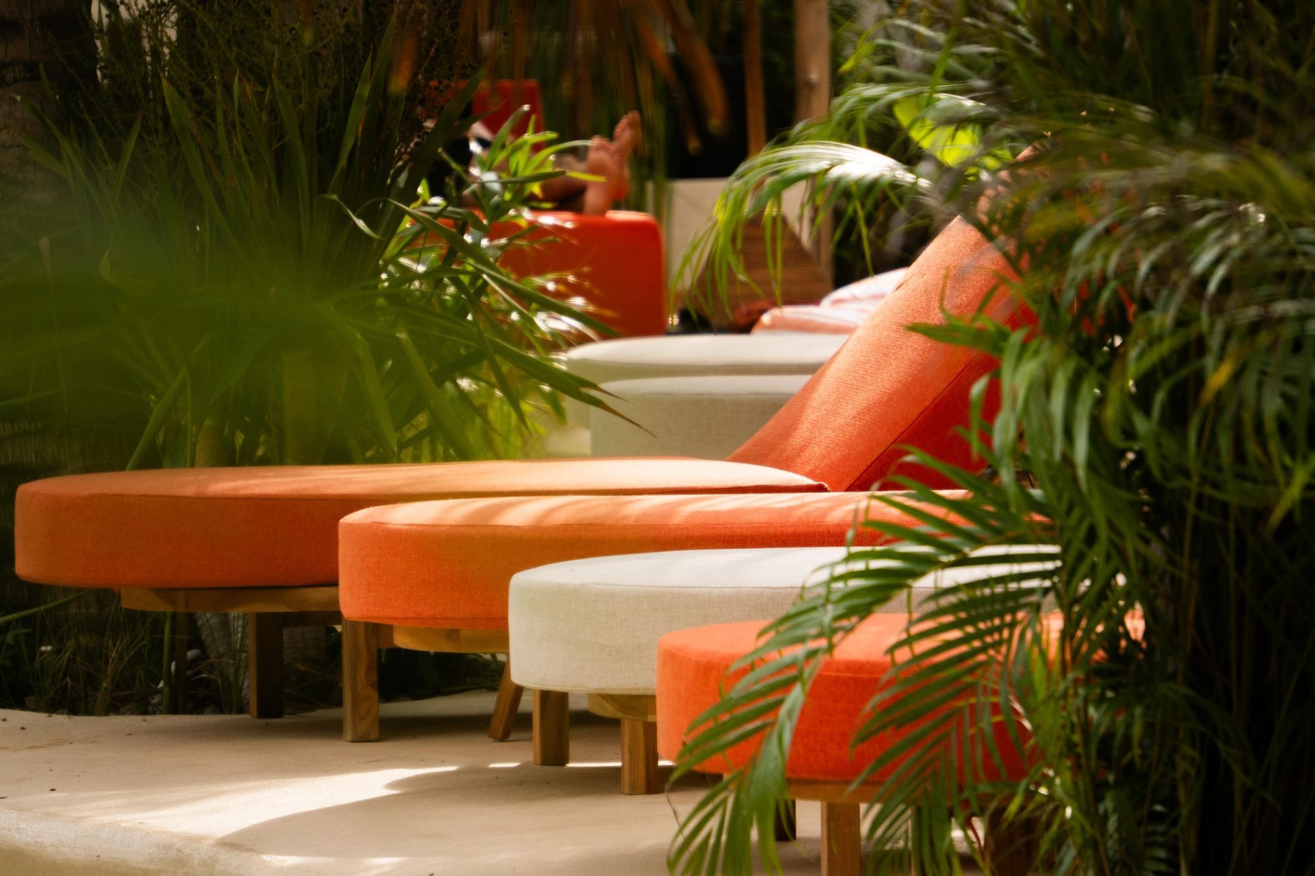 Orange and white lounge chairs sit in the sun, surrounded by green tropical plants.