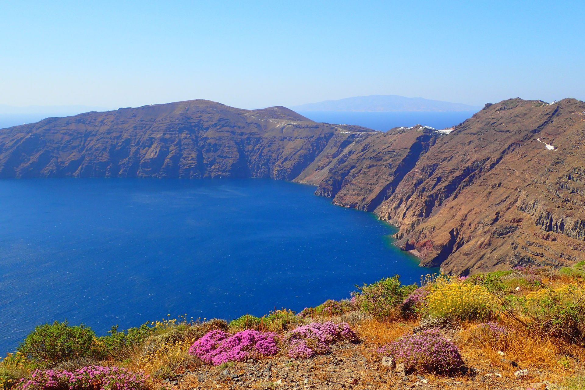 Blue sea surrounded by cliffs; colorful flowers in the foreground, clear blue sky.