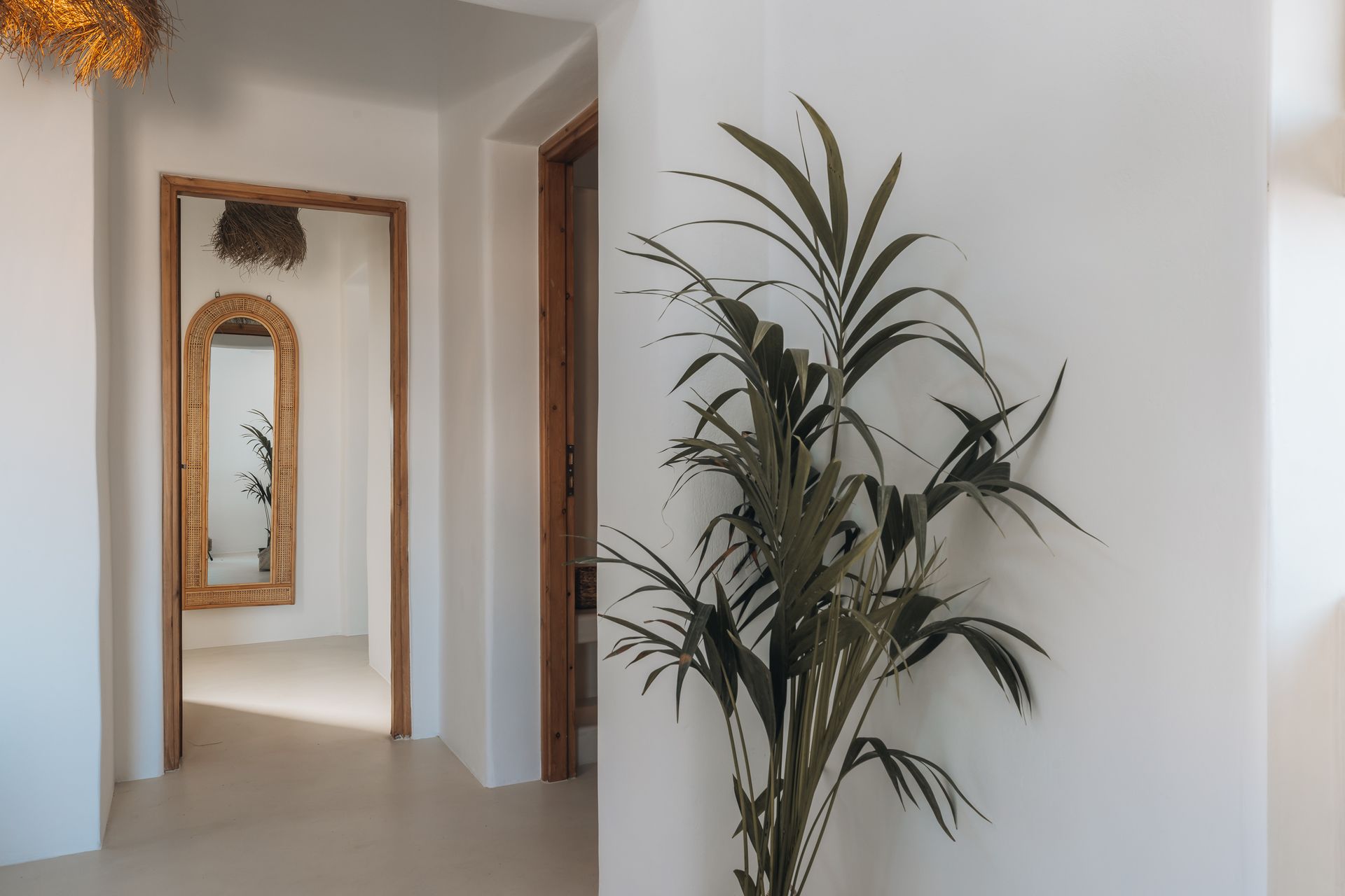A palm tree is sitting in a hallway next to a mirror.
