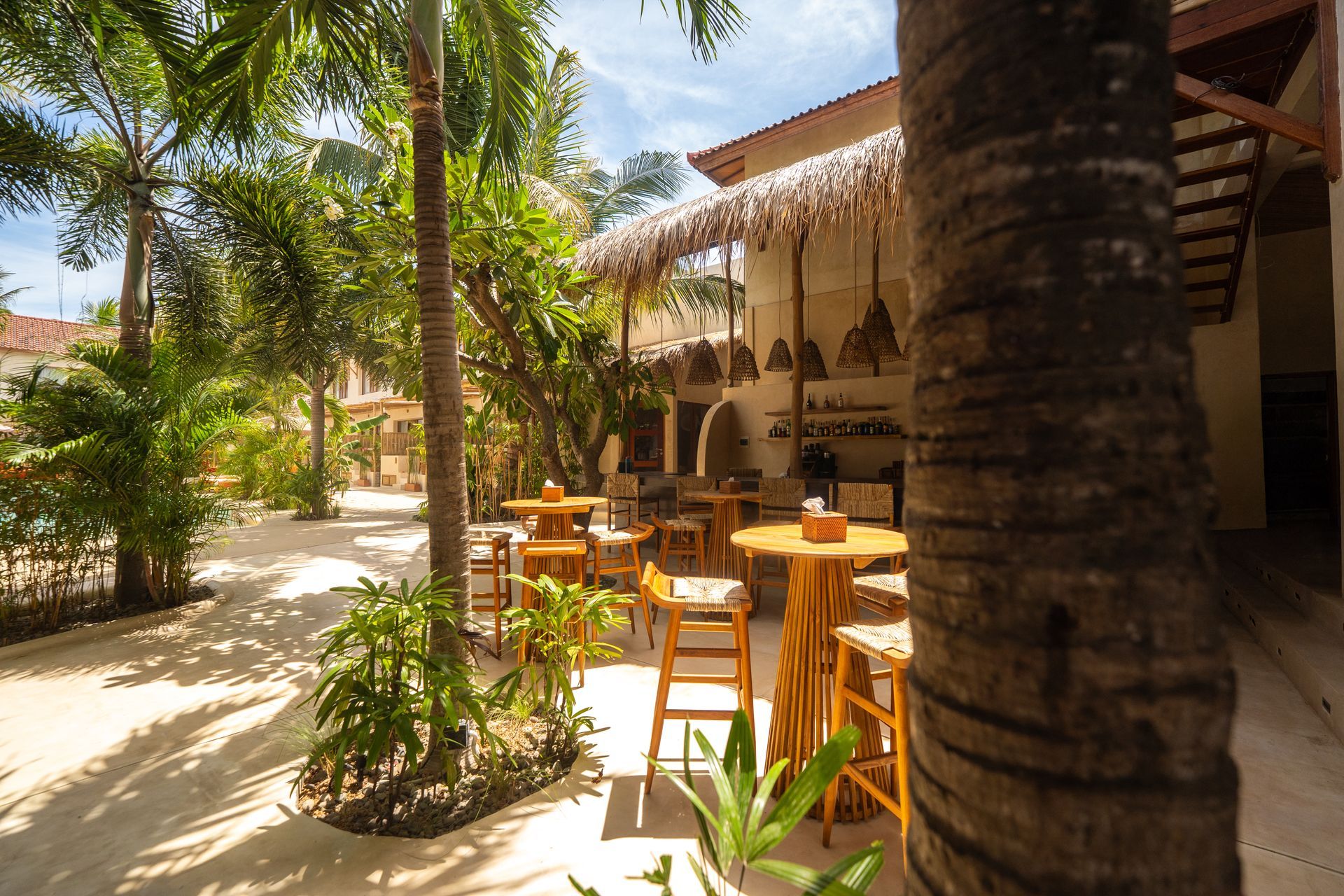 Outdoor tropical bar with wooden tables, stools, and palm trees. Sunny day.
