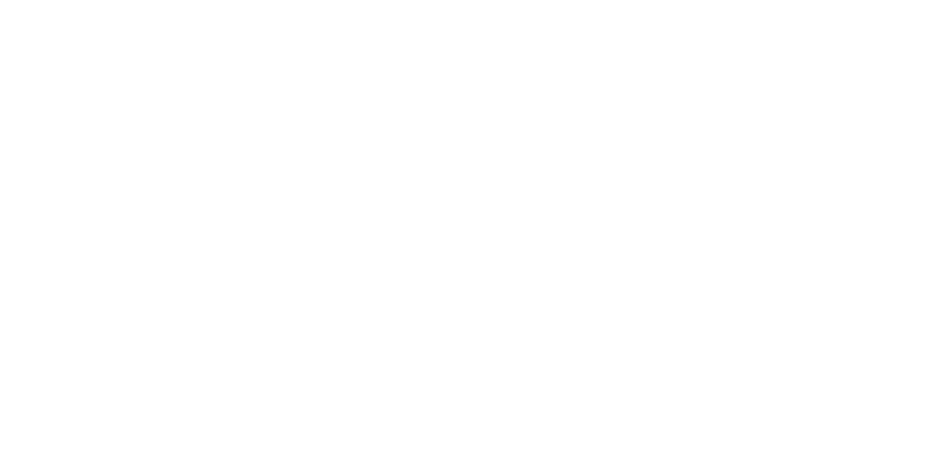 The Wyvern Institute logo