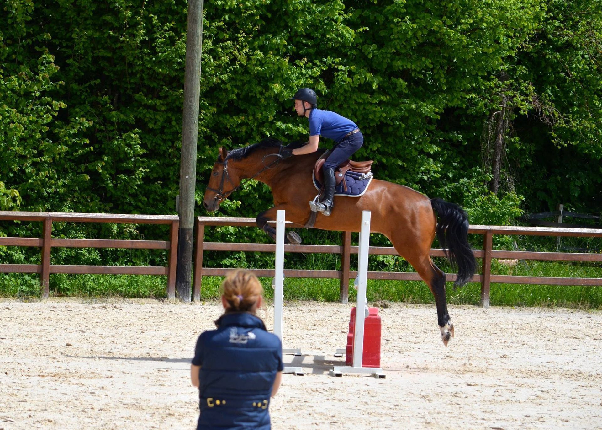 une femme regarde un cheval sauter un obstacle .