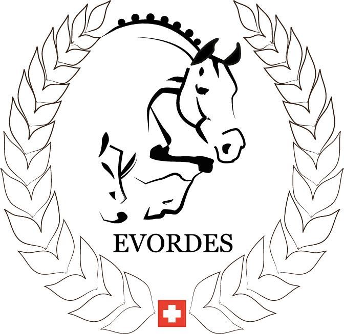 (c) Evordes.ch