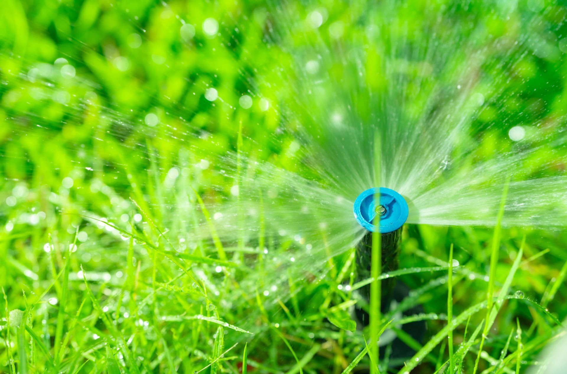 irrigation and sprinkler services