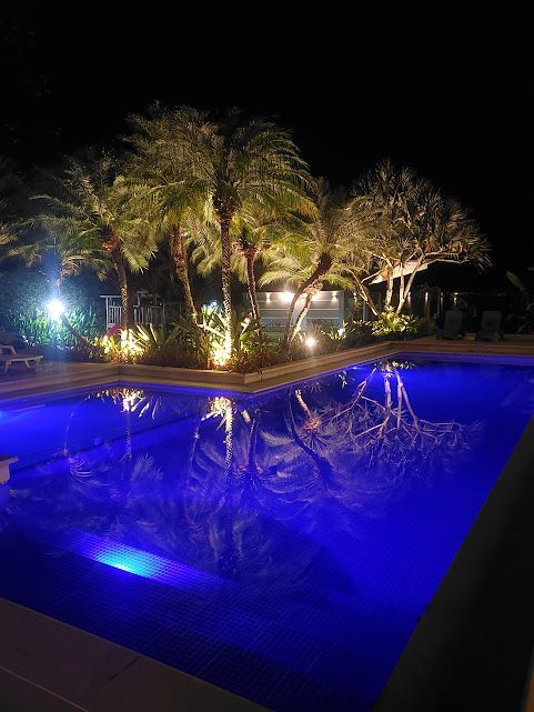 Uma grande piscina é iluminada à noite com palmeiras ao fundo.