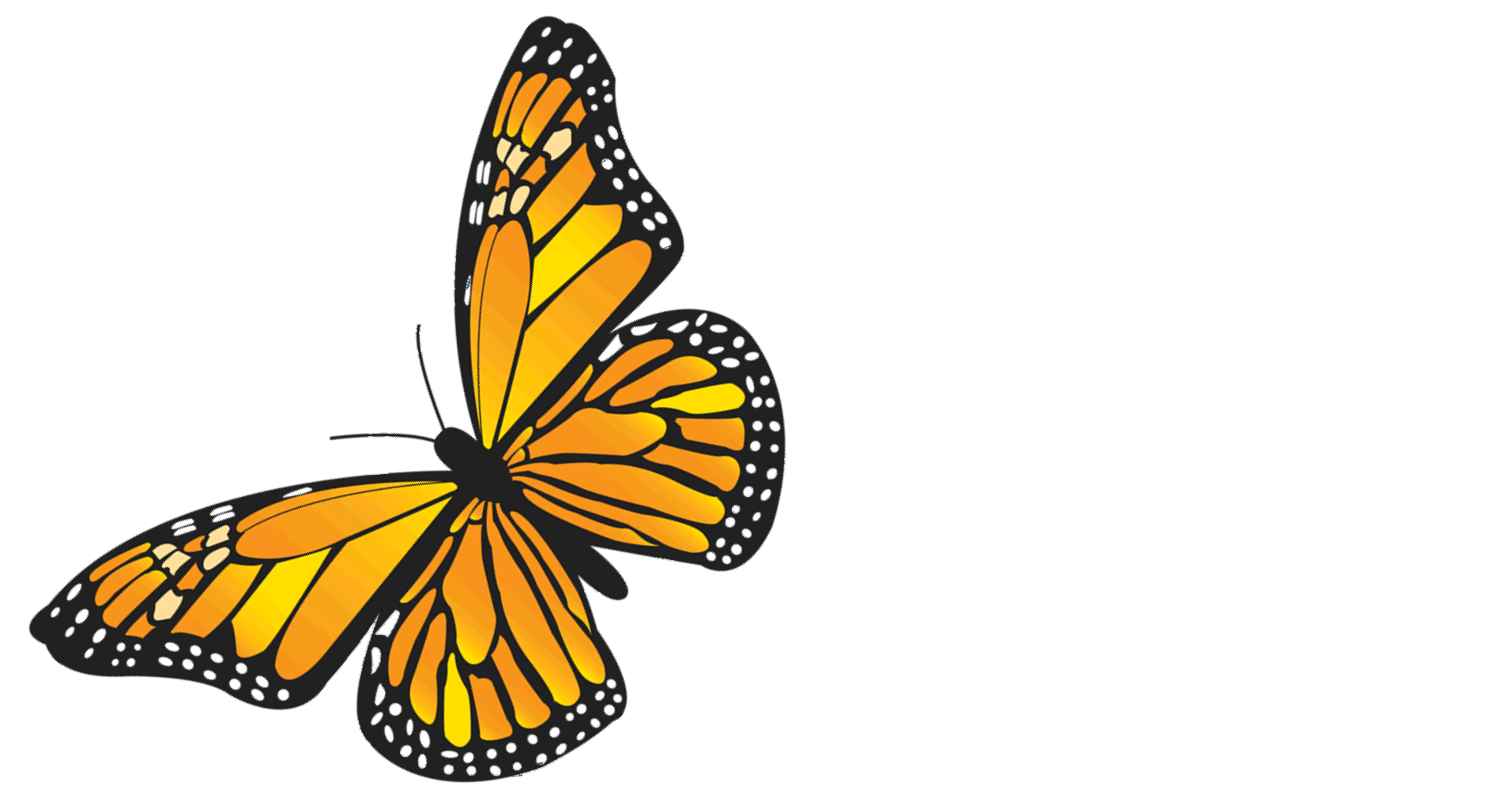 The Belvedere Logo