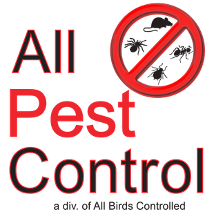 All Pest Control - North Dakota pest control