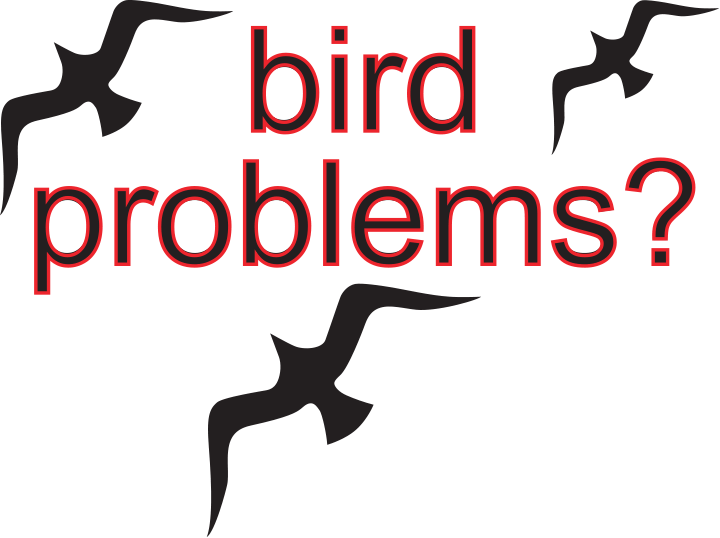 Bird Problems Bismarck Mandan