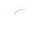 Gestion Immobilier Marki