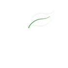 Gestion Immobilier Marki