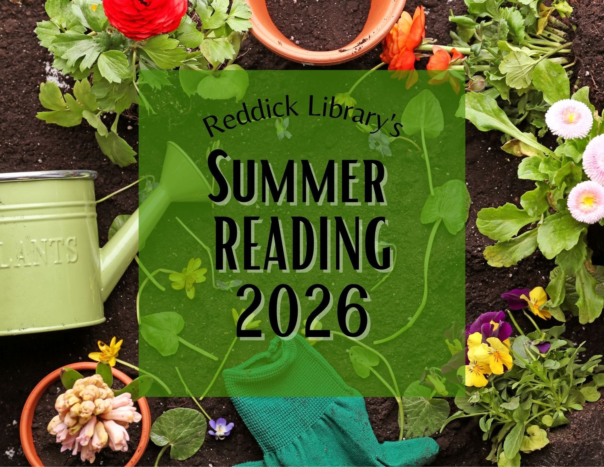 summer reading for adults
