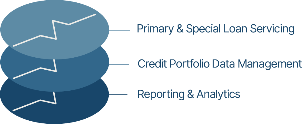 A diagram of primary and special loan servicing credit portfolio data management and reporting & analytics