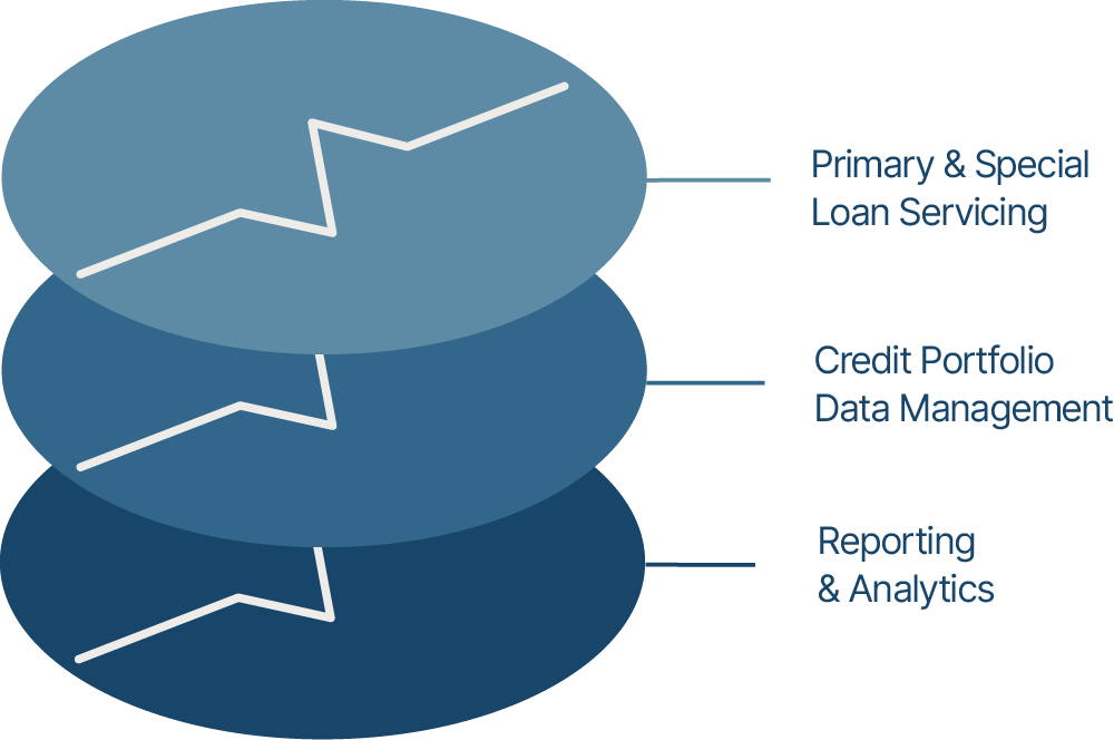 A diagram showing primary and special loan servicing credit portfolio data management and reporting & analytics