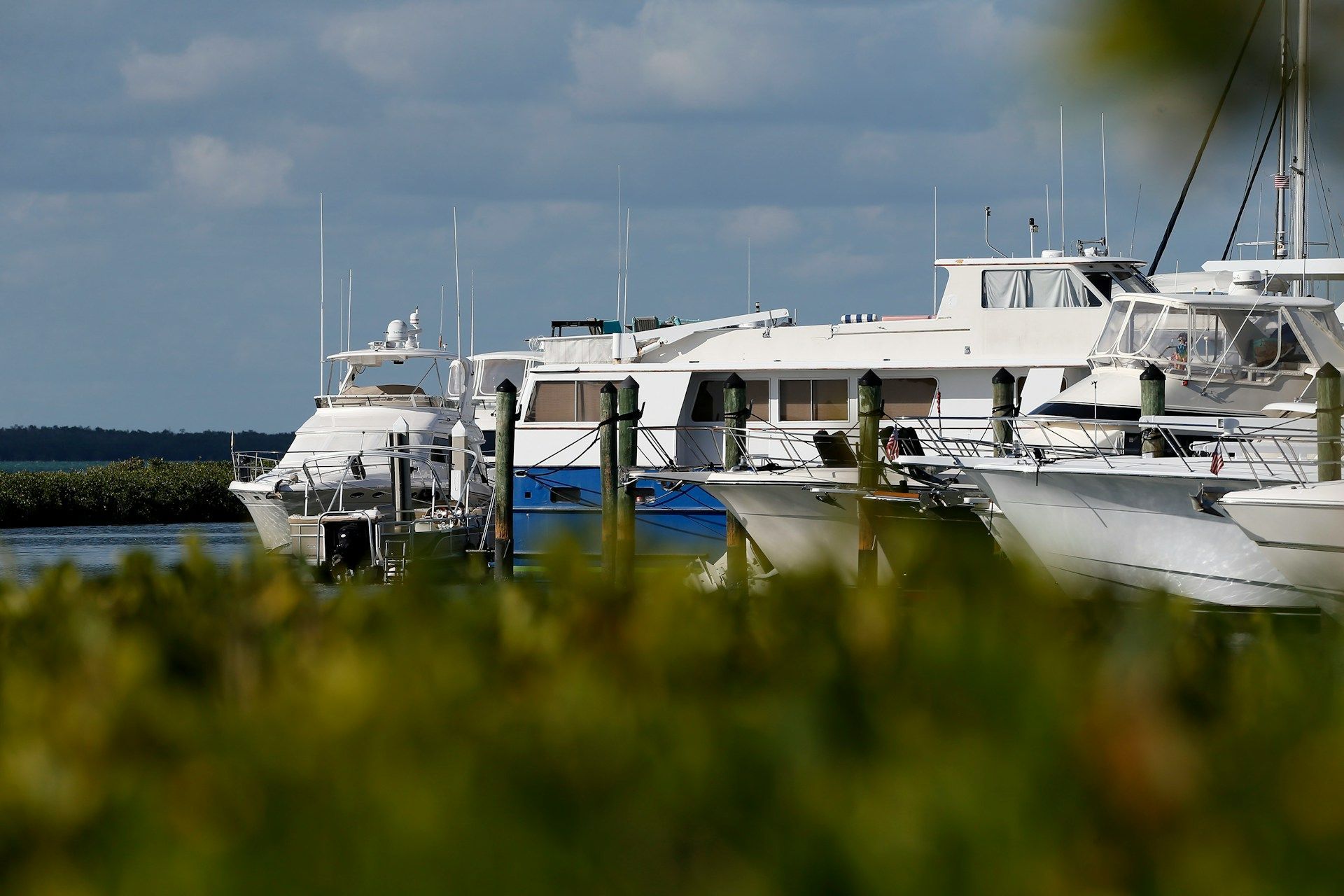 Boats docked at a marina, seen through blurred green foliage on a partly cloudy day.