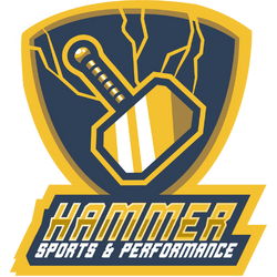 A blue and yellow logo for hammer sports and performance