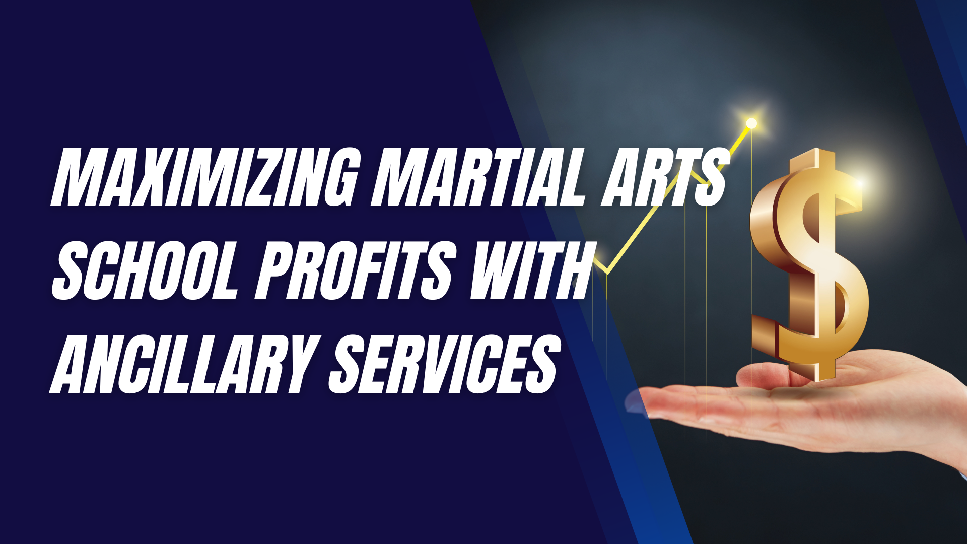 Maximizing Martial Arts School Profits with Ancillary Services