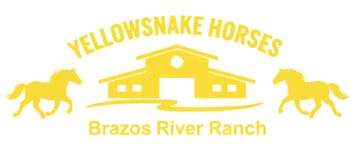Yellow logo: yellow horses and barn, text says Yellowsnake Horses, Brazos River Ranch.