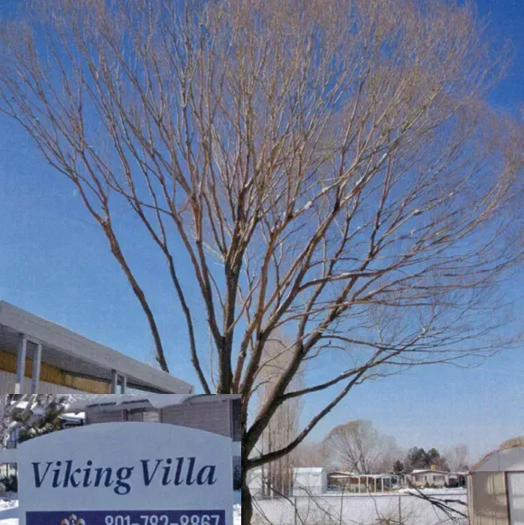 A sign for viking villa with a tree in the background
