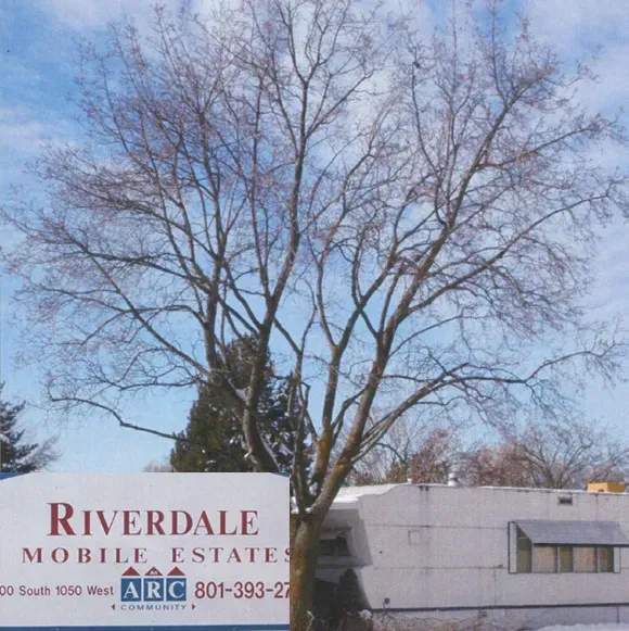 A riverdale mobile estate sign in front of a tree
